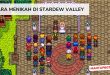 Cara Menikah di Stardew Valley - Mantapbgt.com