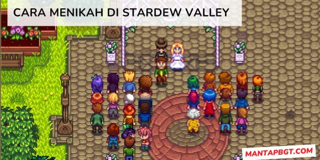 Cara Menikah di Stardew Valley - Mantapbgt.com